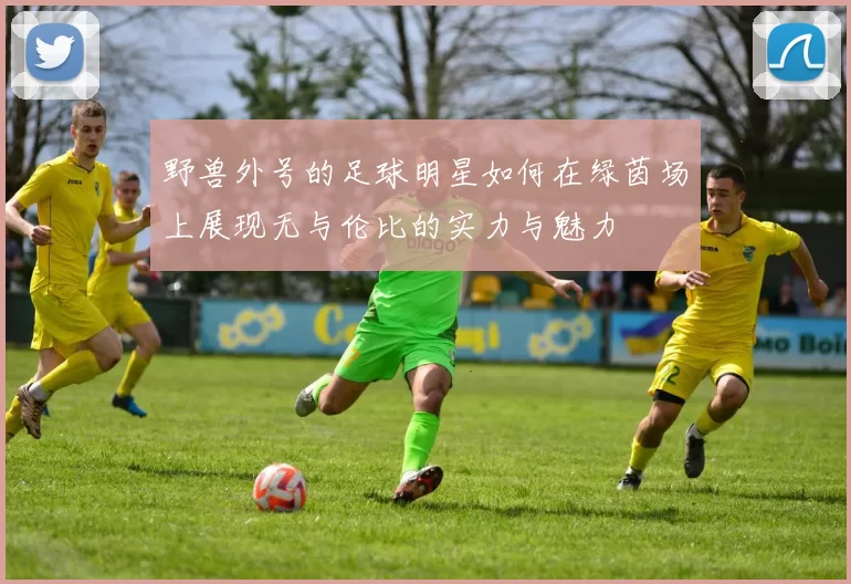 野兽外号的足球明星如何在绿茵场上展现无与伦比的实力与魅力