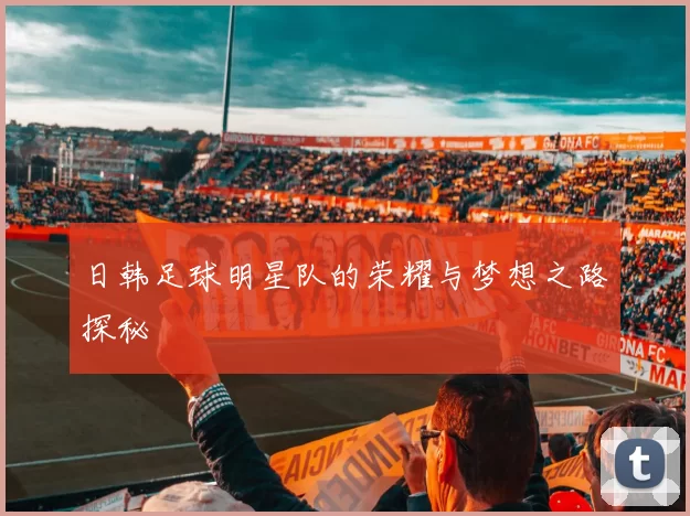 日韩足球明星队的荣耀与梦想之路探秘