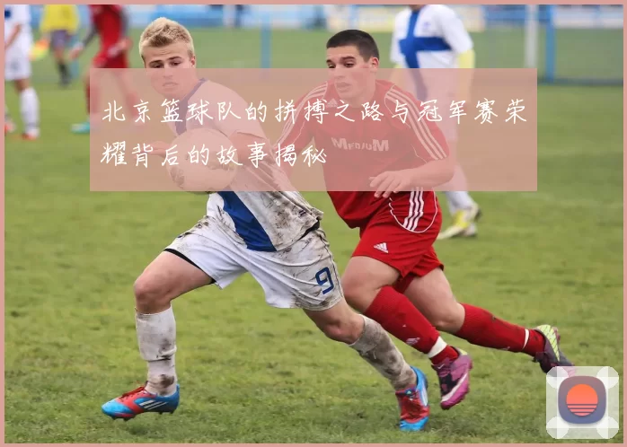 北京篮球队的拼搏之路与冠军赛荣耀背后的故事揭秘