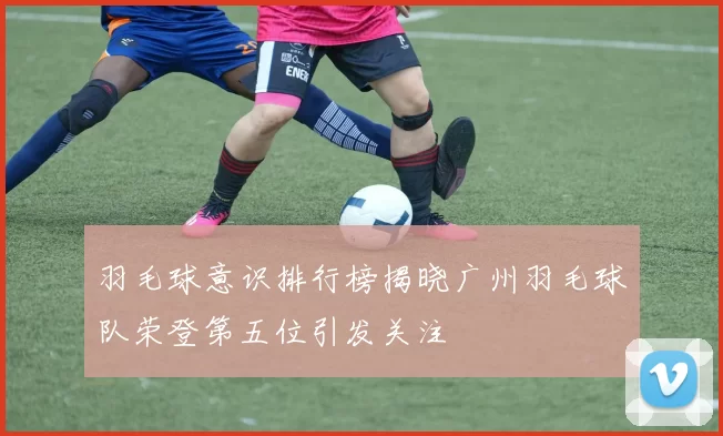 羽毛球意识排行榜揭晓广州羽毛球队荣登第五位引发关注