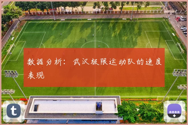 数据分析：武汉极限运动队的速度表现