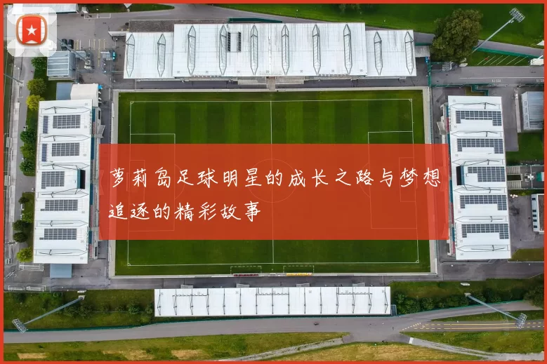 萝莉岛足球明星的成长之路与梦想追逐的精彩故事